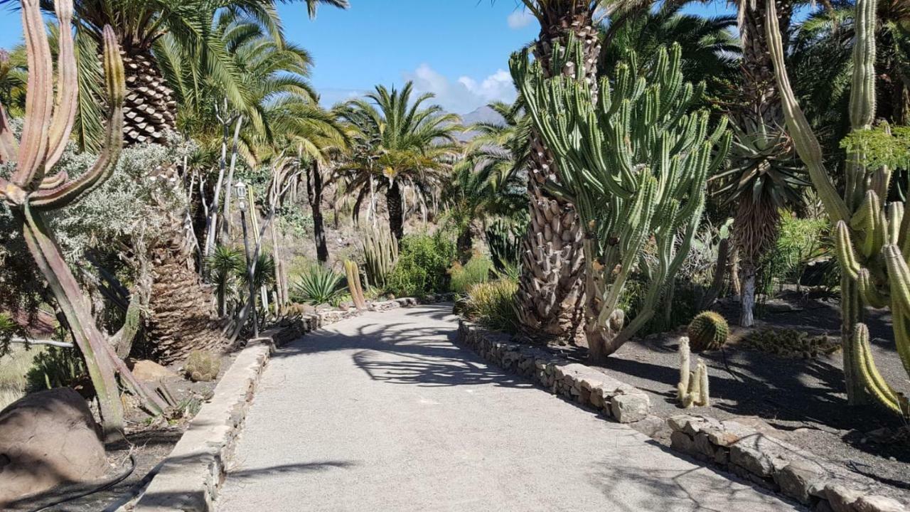 Villa De Cactualdea San Nicolas Exterior photo