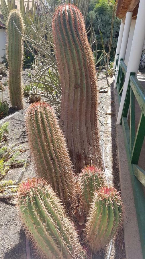 Villa De Cactualdea San Nicolas Exterior photo